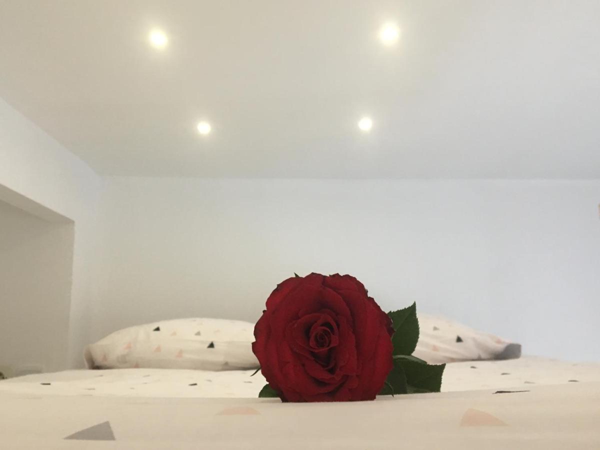 Lovely Studio Bourges Extérieur photo
